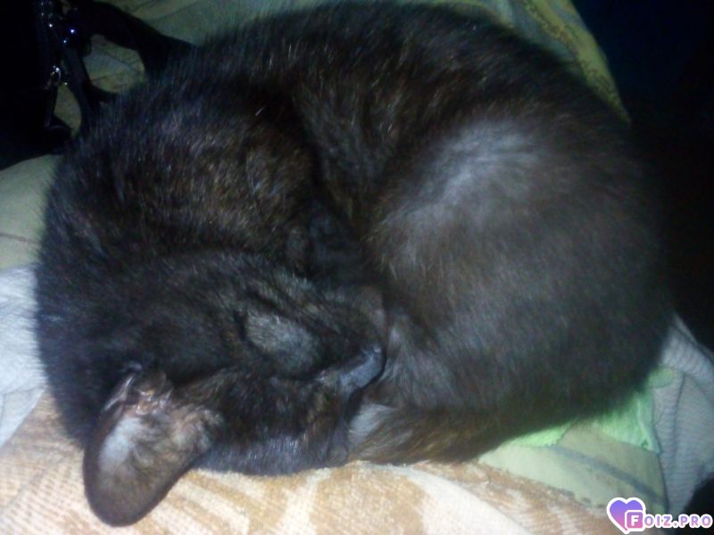 IMG_20251004_123937_755