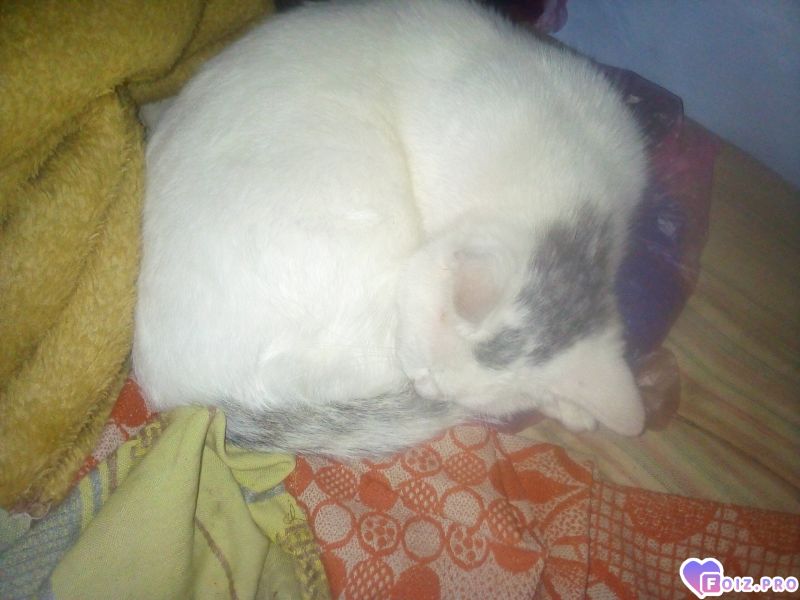 IMG_20251004_123959_230