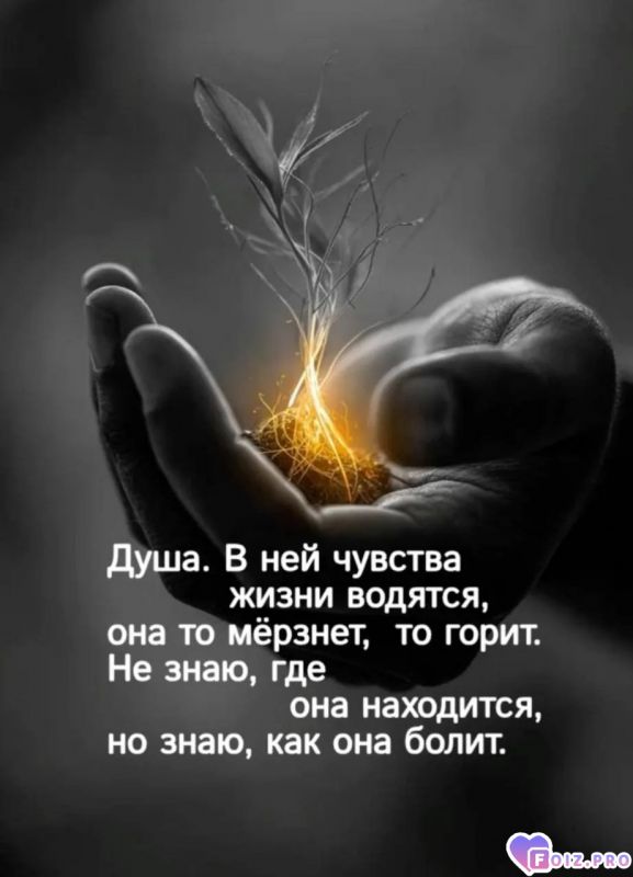 IMG_20260117_170520_502