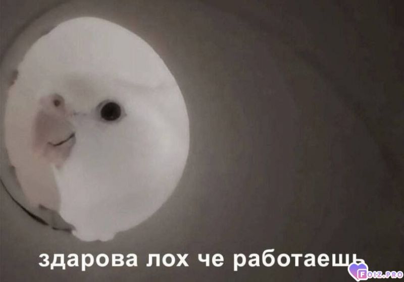 IMG_20251214_140349_093