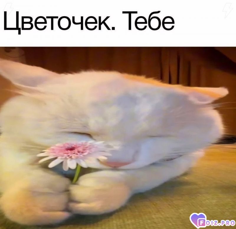 IMG_20260120_160550_623