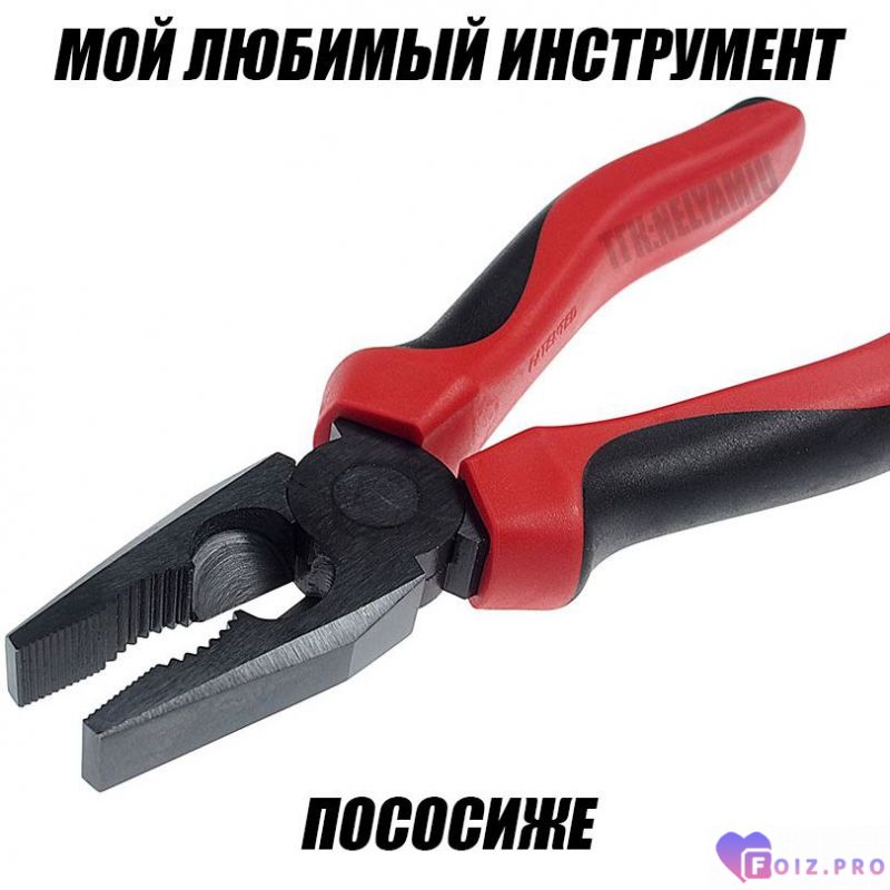 IMG_20260121_095012_613