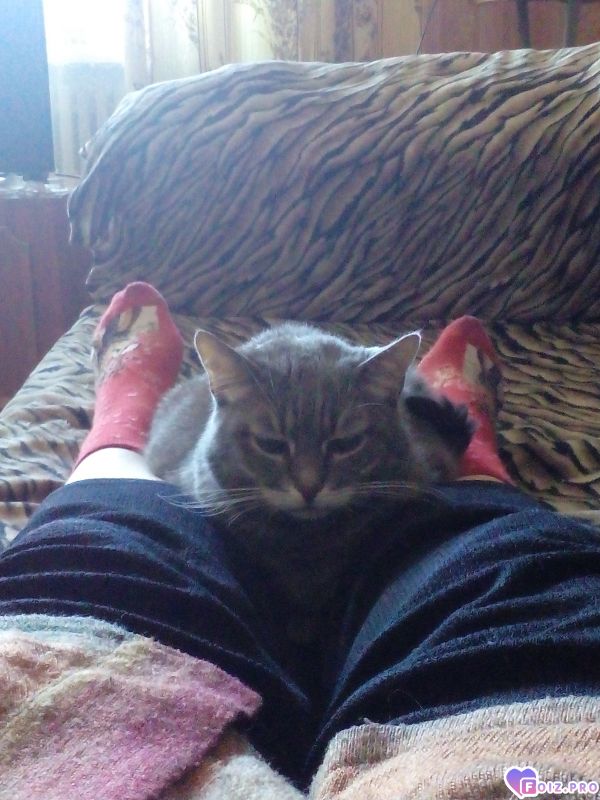 IMG_20261004_144614