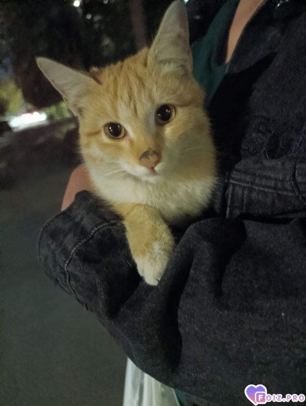 IMG_20251213_210500_345