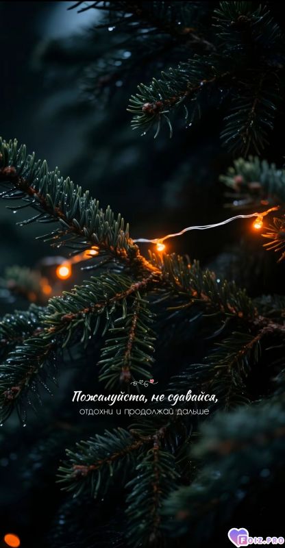 Не сдавайся