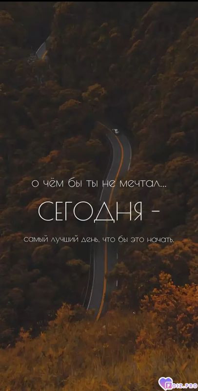 СЕГОДНЯ-самы лучший день