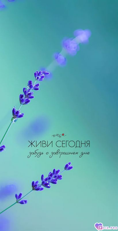 Живи сегодня