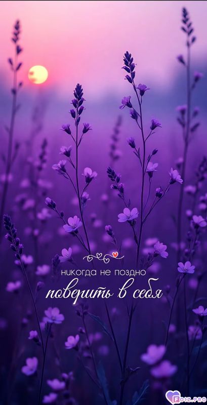 Никогда не поздно