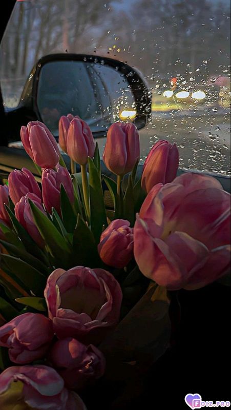 1309e0aa0333bcb44d0b686628a07306