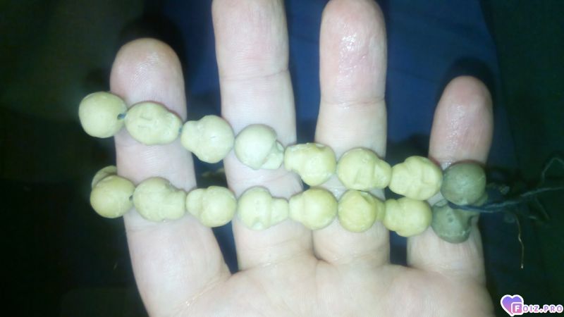 IMG_20251229_194608_0