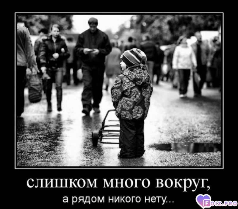 Foiz.PRO_Много вокруг...