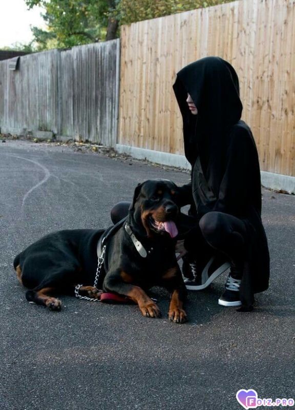 Я и моя собака 