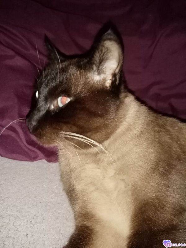 IMG_20201024_084445_030150