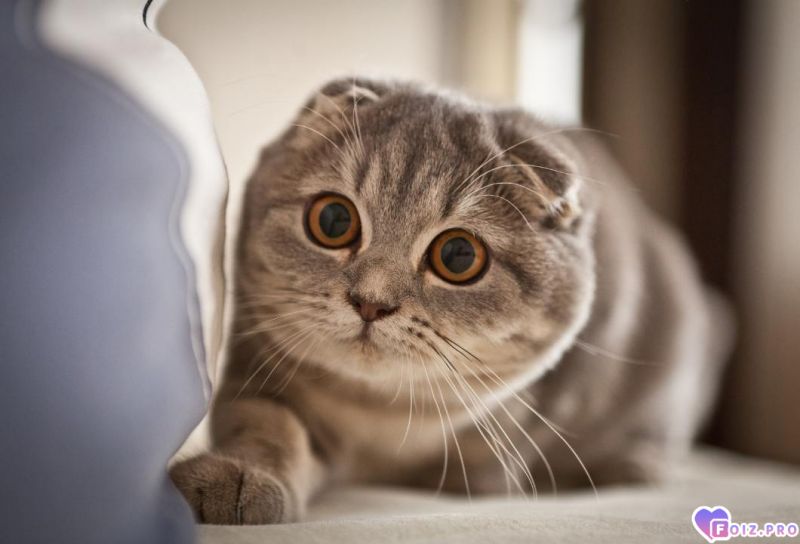 1-EKU2PJoK7nbP18TeoHPoPZFu3zReok