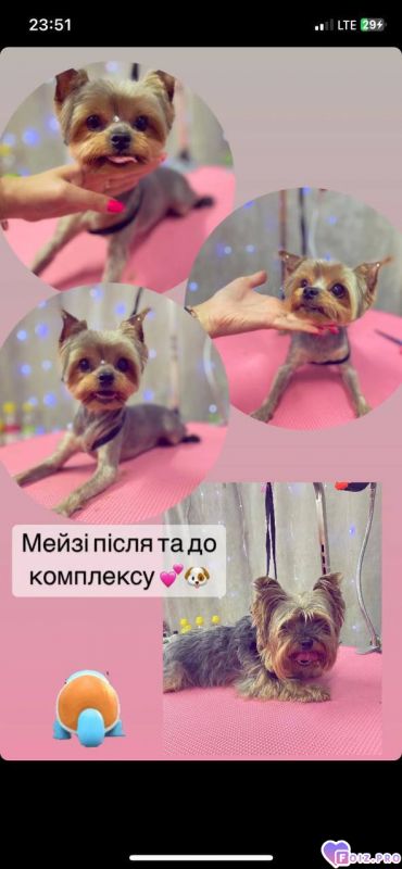 Моё солнце.