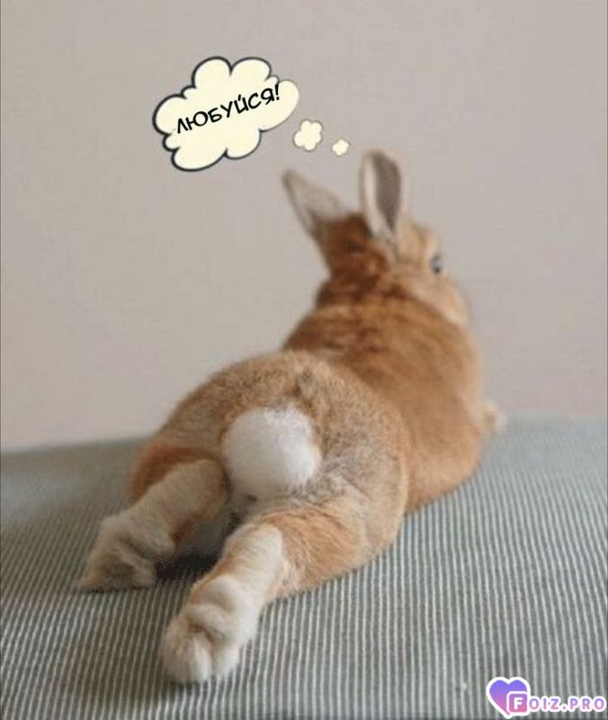 ad33832cdfff4abd1de1067b76ea8926