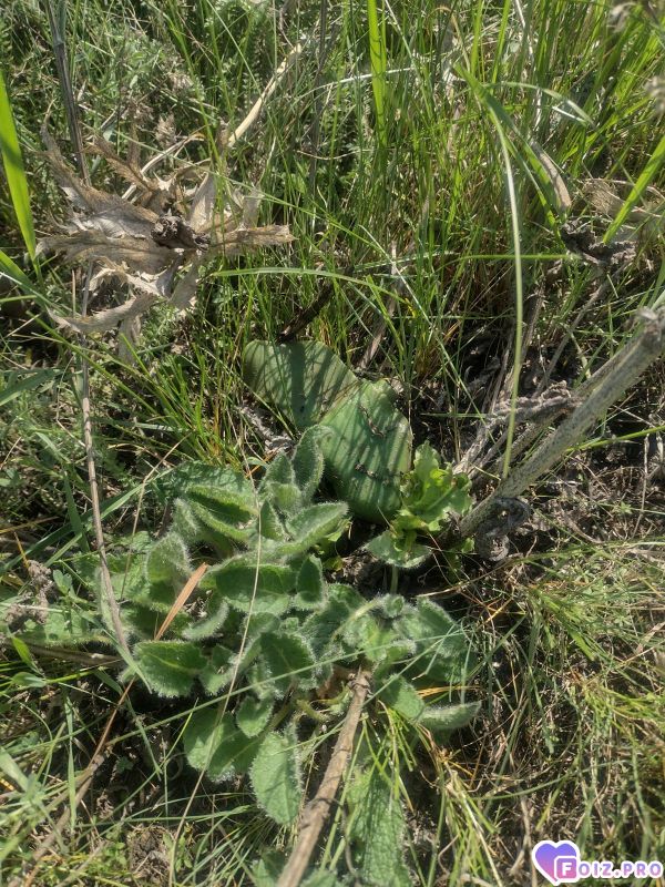 signal-2025-04-23-13-43-39-774