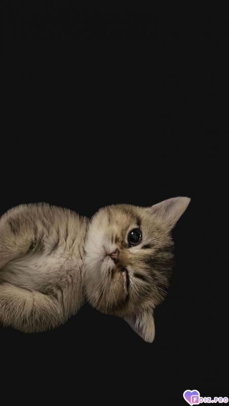 24578235d99b15be620d66add51792bc