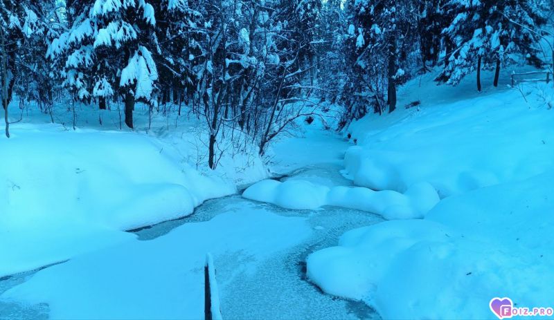 IMG_20260131_160852_560