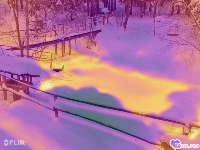 IMG_20260202_154443_644