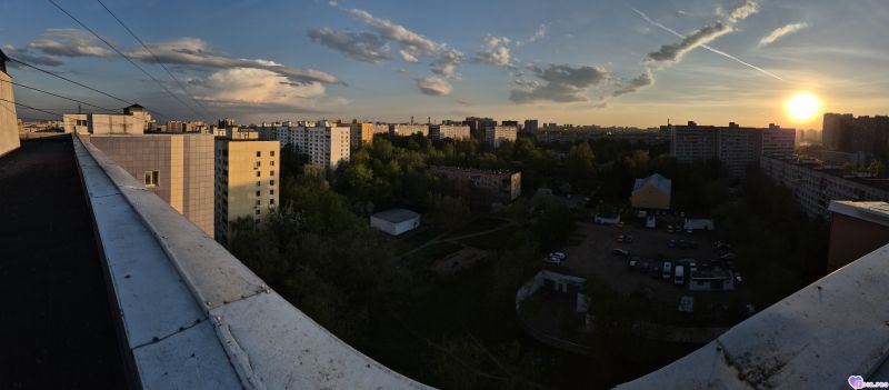 1000057534
