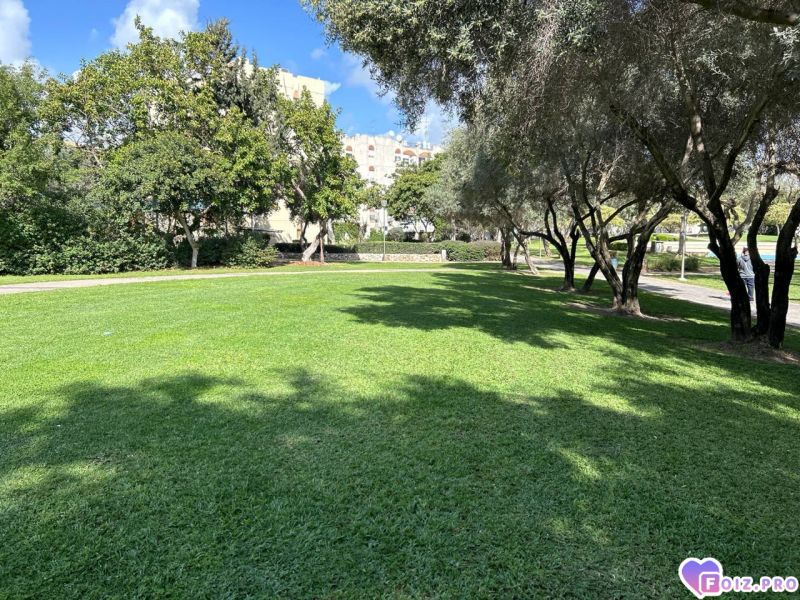 photo_2026-04-06_01-17-47