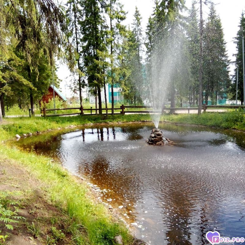 IMG_20260620_074732