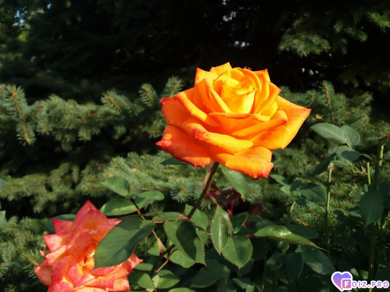 IMG_20260623_101138