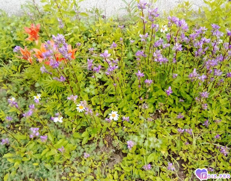 IMG_20260626_080903