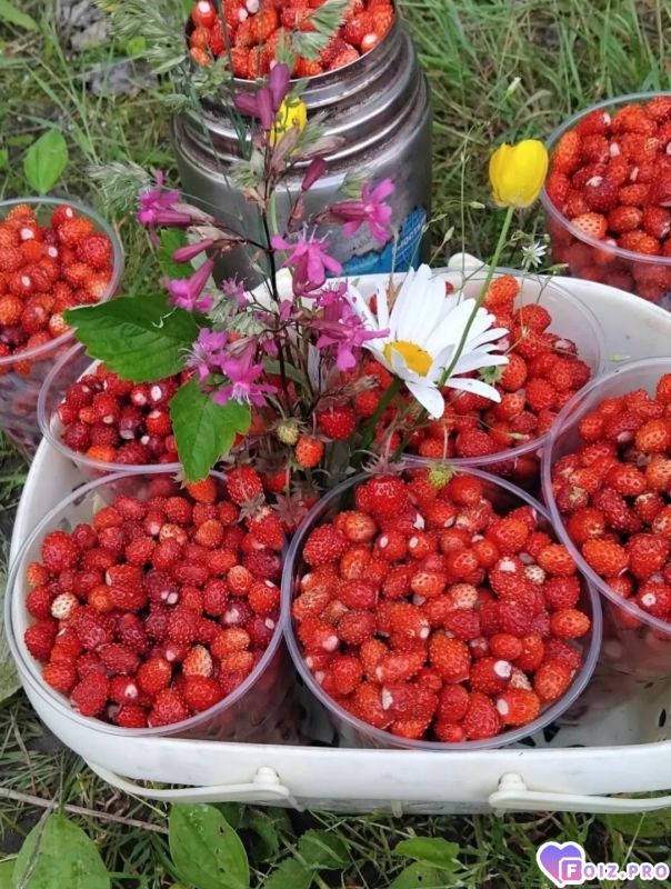 Peachy_20260715_084119855