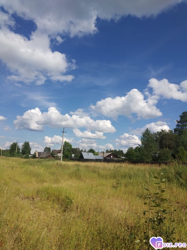 0LUUiKIJ2OE