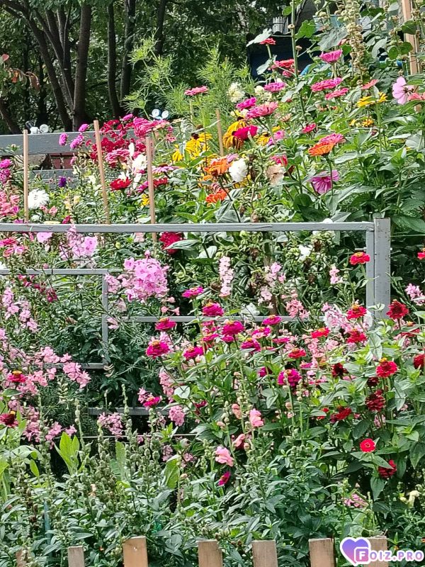 ZTzsqxwiH3Q