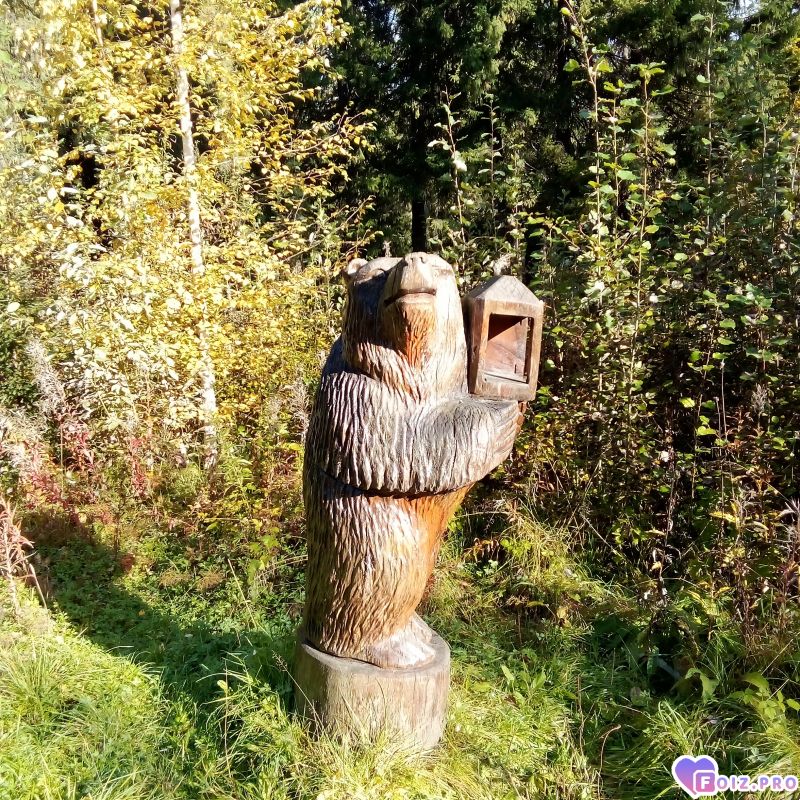 IMG_20260905_075324
