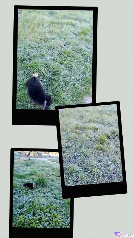 20260924_090213-COLLAGE