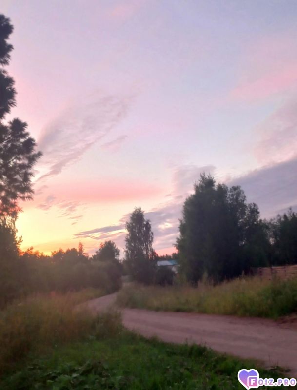 Peachy_20260806_042713796