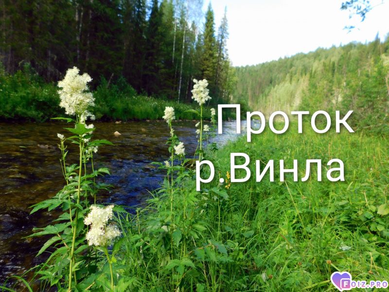 Peachy_20260806_083312972