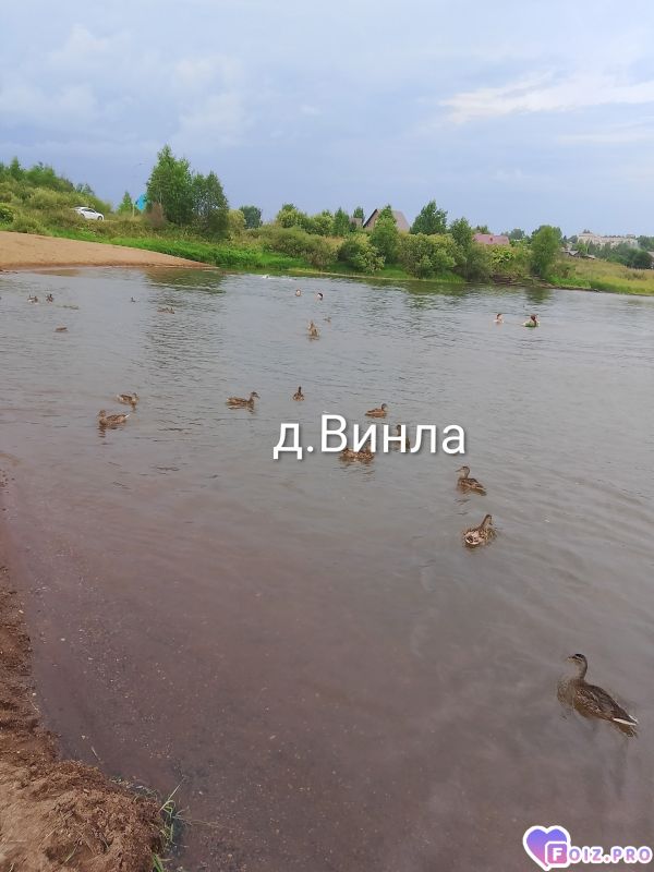 Peachy_20260806_083643152