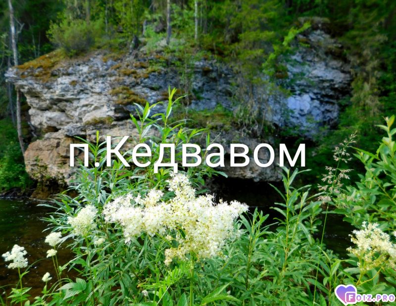 Peachy_20260806_115118954