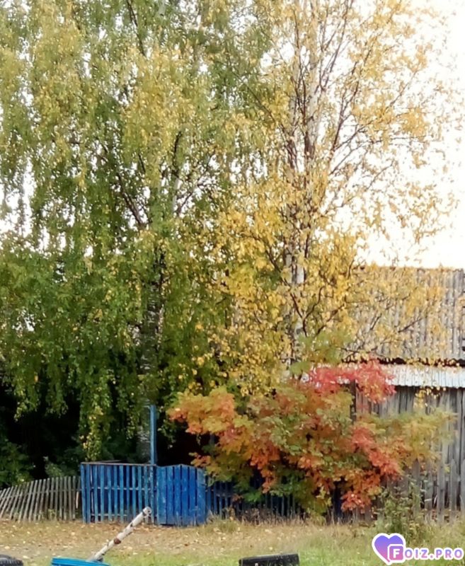 Peachy_20260918_105543164