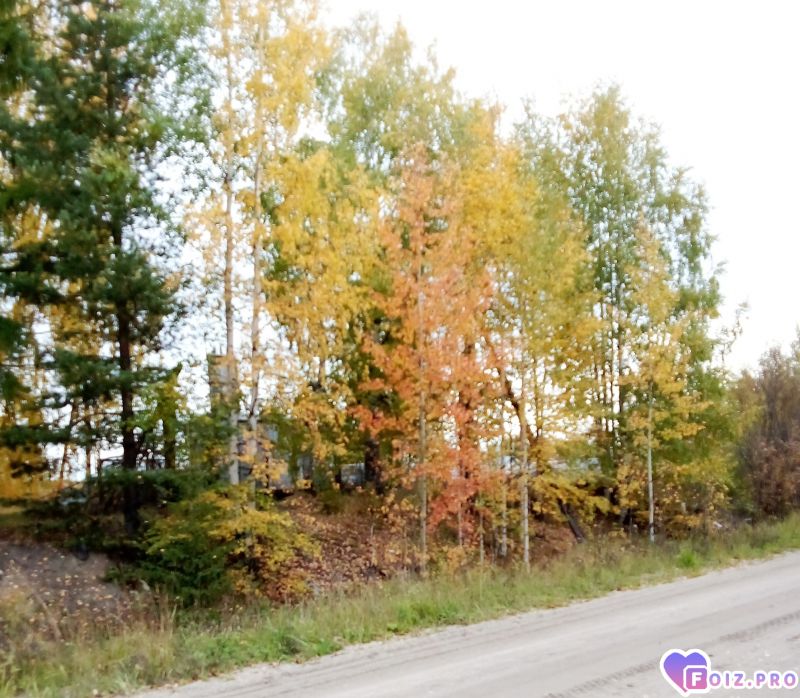 Peachy_20260918_110118328