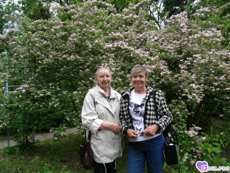 FB_IMG_17359520416286355