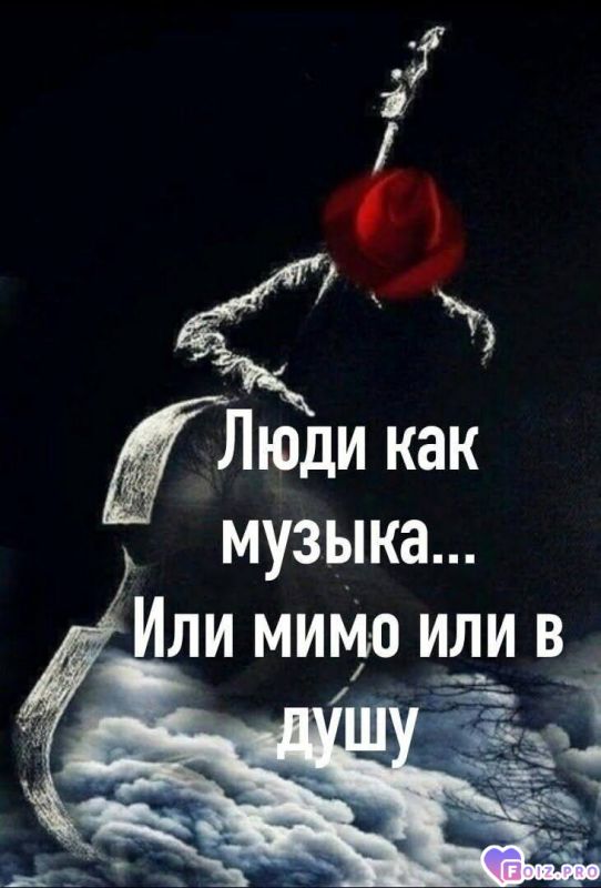 история