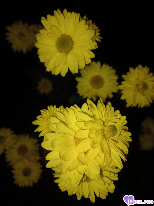 1000014106