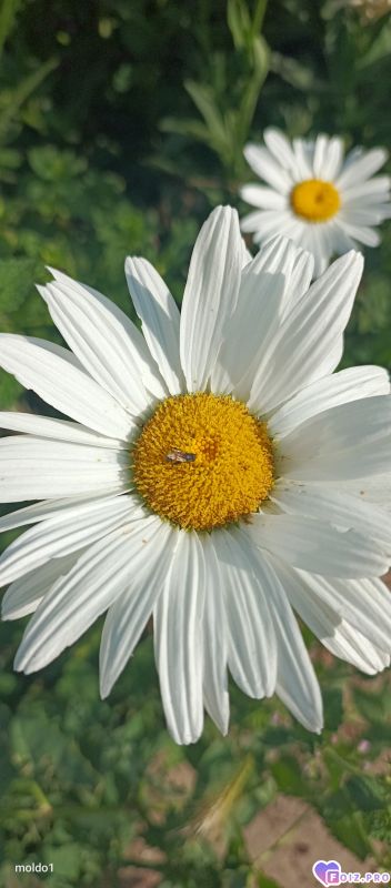 1000041641