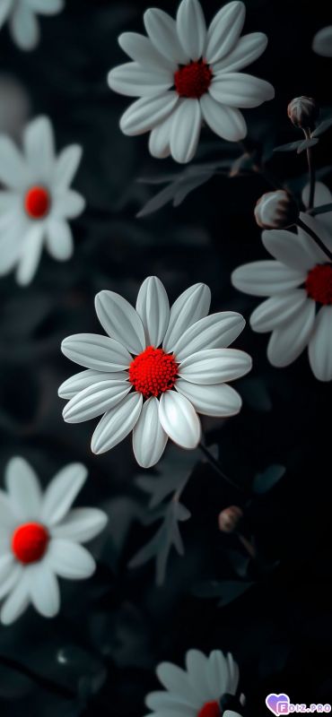 9981