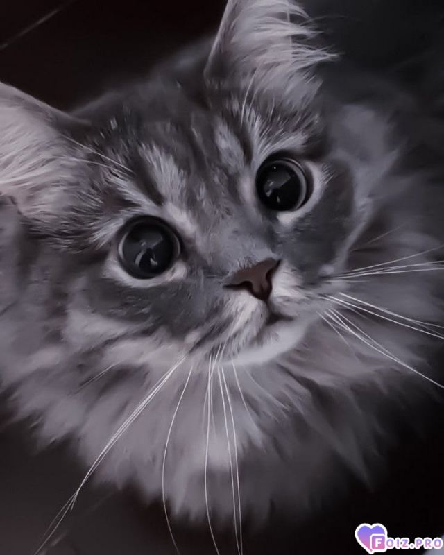 10071