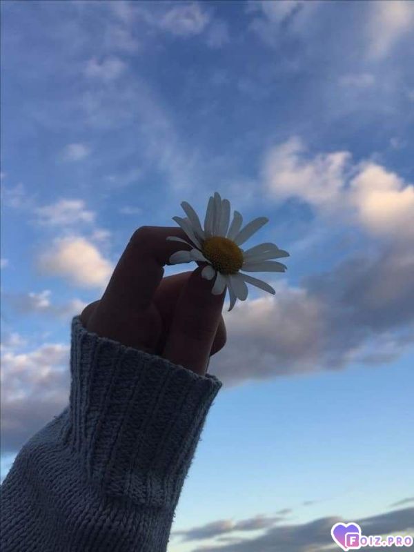 10069