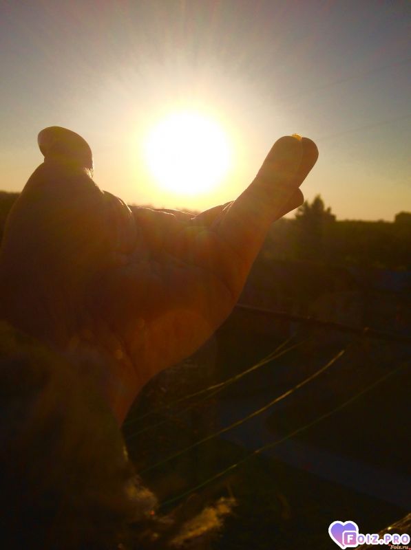 Солнышко в моей ладони