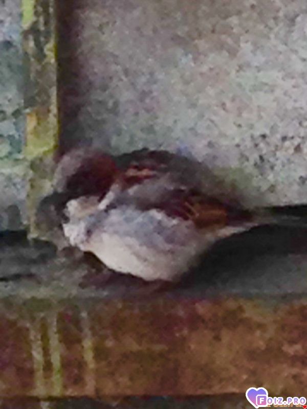 Снова здесь