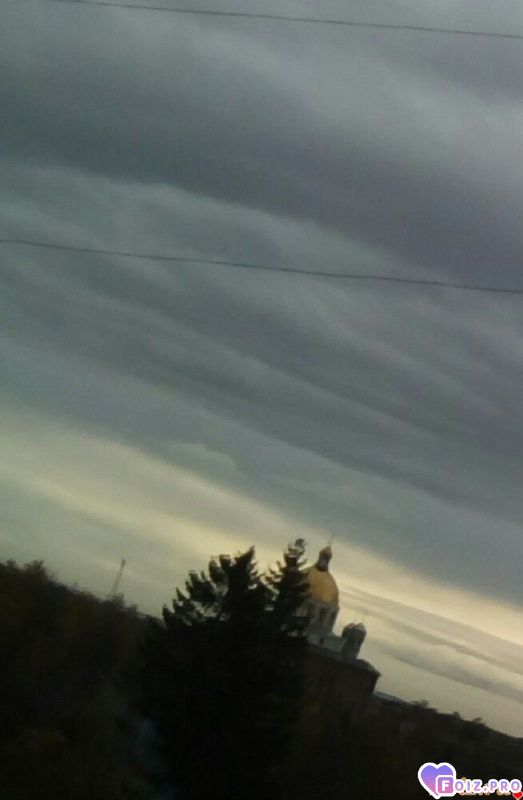 IMG_20191106_085348_457